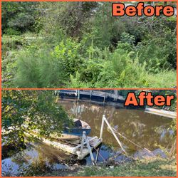 A Better Tree Service