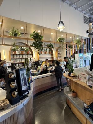 Voyager Craft Coffee - Cupertino by null