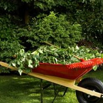 Green World - a wheelbarrow full of plants - Landscape Architects or Designers Near Me - Plaistow, New Hampshire