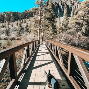 Twin Lakes - Fishing Near Me - Mammoth Lakes, California Twin Lakes - Fishing Near Me - Mammoth Lakes, California