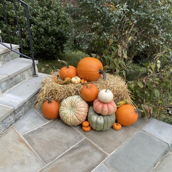 Pumpkin City Designs - Hay balepumpkinspumpkin delivery & design - Holiday Decorating Services Near Me - Chevy Chase, Maryland Pumpkin City Designs - Hay balepumpkinspumpkin delivery & design - Holiday Decorating Services Near Me - Chevy Chase, Maryland