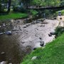 Photo of Woodstream Campsite