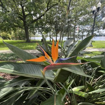 Gaston Edwards Park - Parks Near Me - Orlando, Florida Gaston Edwards Park - Parks Near Me - Orlando, Florida