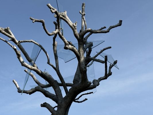 Frederik Meijer Gardens & Sculpture Park by null