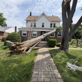 Premier Arborworks - Storm damage clean up - Tree Services Near Me - Brooklyn, New York Premier Arborworks - Storm damage clean up - Tree Services Near Me - Brooklyn, New York