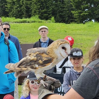 Grouse Mountain - Owl talk - Hiking Near Me - North Vancouver, British Columbia Grouse Mountain - Owl talk - Hiking Near Me - North Vancouver, British Columbia