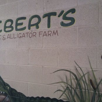 Kliebert & Son's Gator Tours - Kliebert's - Tours Near Me - Ponchatoula, Louisiana Kliebert & Son's Gator Tours - Kliebert's - Tours Near Me - Ponchatoula, Louisiana