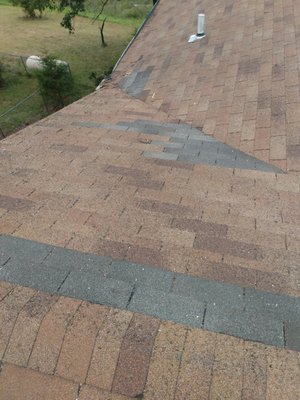 Lovelace Trees And Roofing