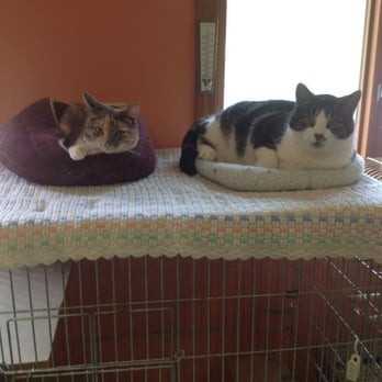 Bittersweet Kennel - Pet Groomers Near Me - Newfields, New Hampshire