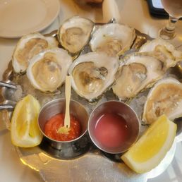 Oysters Oysters