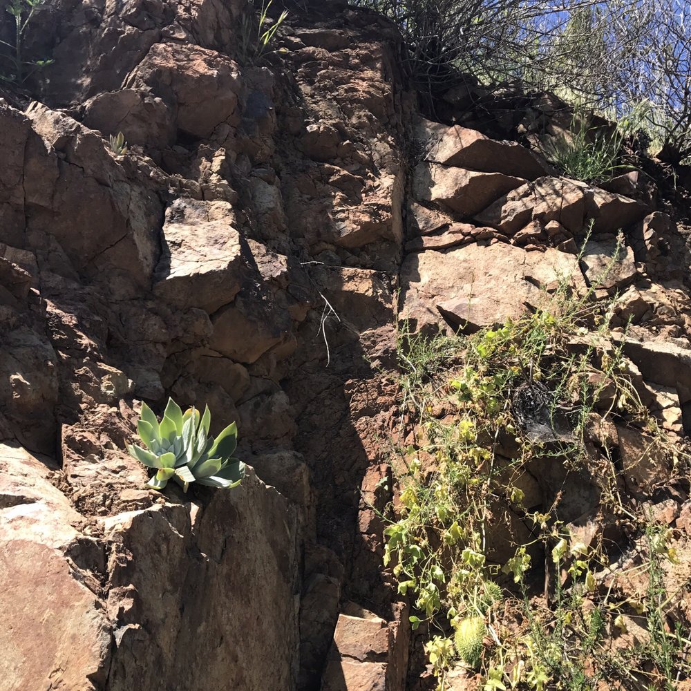 Copper Creek Falls Trail - Restricted Access - Hiking Near Me - San Marcos, California Copper Creek Falls Trail - Restricted Access - Hiking Near Me - San Marcos, California