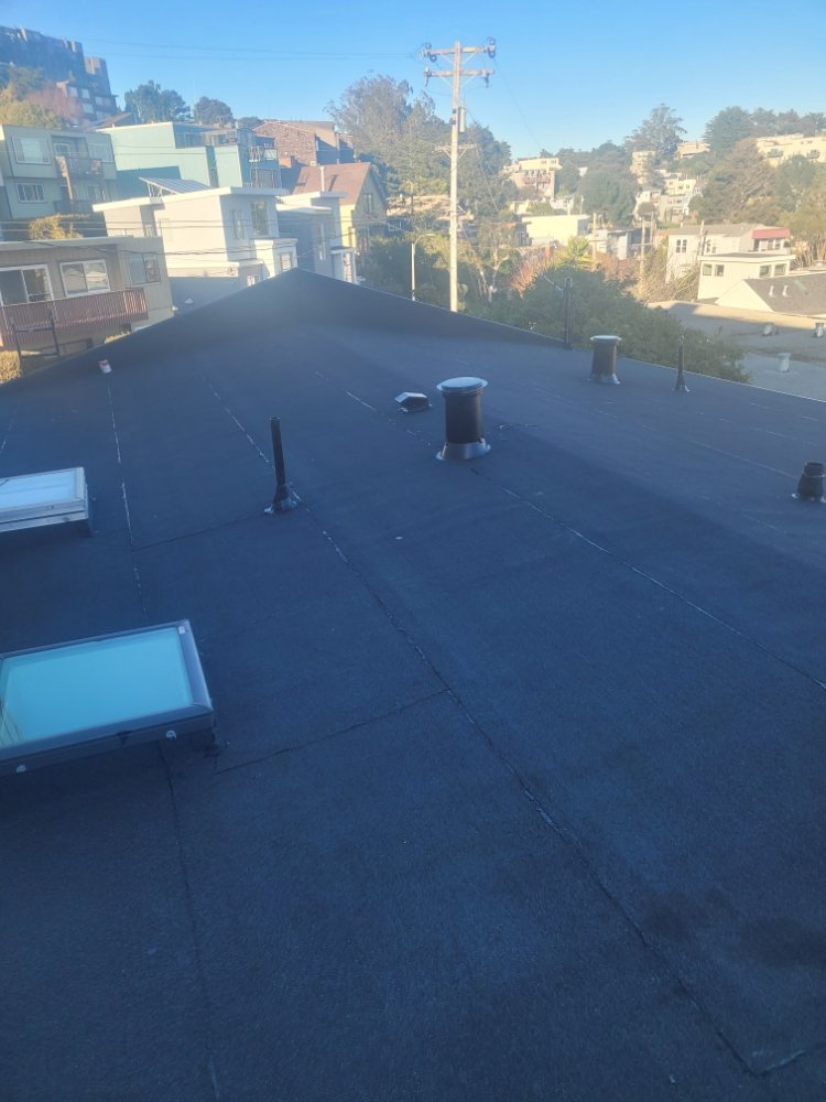 Slide of Roofing & Garden