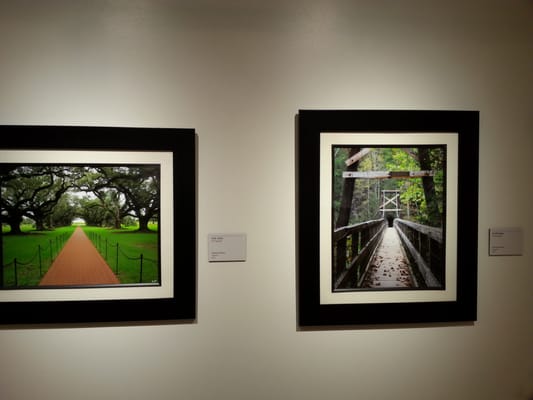 Terrace Gallery by null