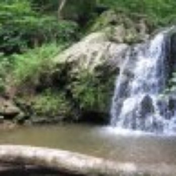 Patapsco Valley State Park - waterfall trail - Parks Near Me - Ellicott City, Maryland
