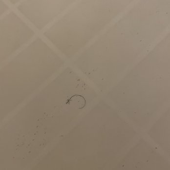 Hyatt Regency Milwaukee - Dirty shower. - Hotels Near Me - Milwaukee, Wisconsin