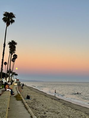 Butterfly Beach by null
