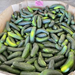 Dagdagan Produce