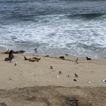 La Jolla Cove - Parks Near Me - La Jolla, California La Jolla Cove - Parks Near Me - La Jolla, California