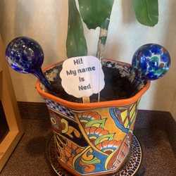 Alan R Kantro, DMD - The plant has a name! Say my name!