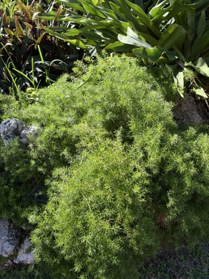 Fort East Martello Museum by null