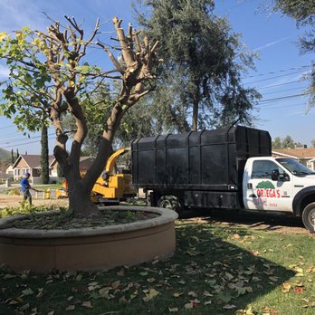 Ortega's Jr Tree Service - Tree Services Near Me - Riverside , California