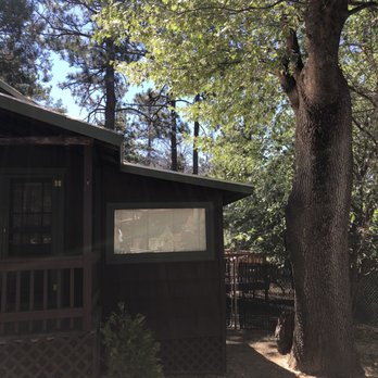 Idyllwild Vacation Cabins - Oak Tree home is located on a street that leads straight to Ernie Maxwell Trail - Vacation Rental Agents Near Me - Idyllwild, California