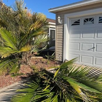 Florida State Tree And Landscaping - Tree Services Near Me Florida State Tree And Landscaping - Tree Services Near Me