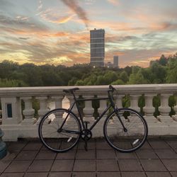 Ham Cycles