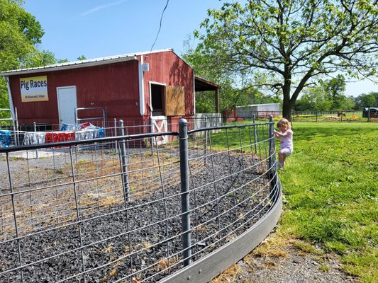 LAND OF LITTLE HORSES - TEMP. CLOSED - Updated January 2026 - 134