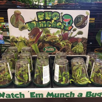 Lowe's Home Improvement - Bug Munchers --------------- "Watch em munch a BUG" Haha - Hardware Stores Near Me - Las Vegas, Nevada Lowe's Home Improvement - Bug Munchers --------------- "Watch em munch a BUG" Haha - Hardware Stores Near Me - Las Vegas, Nevada