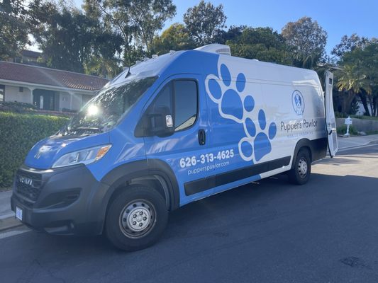 Dog Grooming Van Rental: Convenience on Wheels