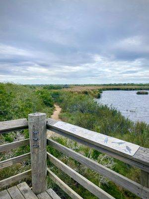 South Texas Botanical Gardens & Nature Center by null