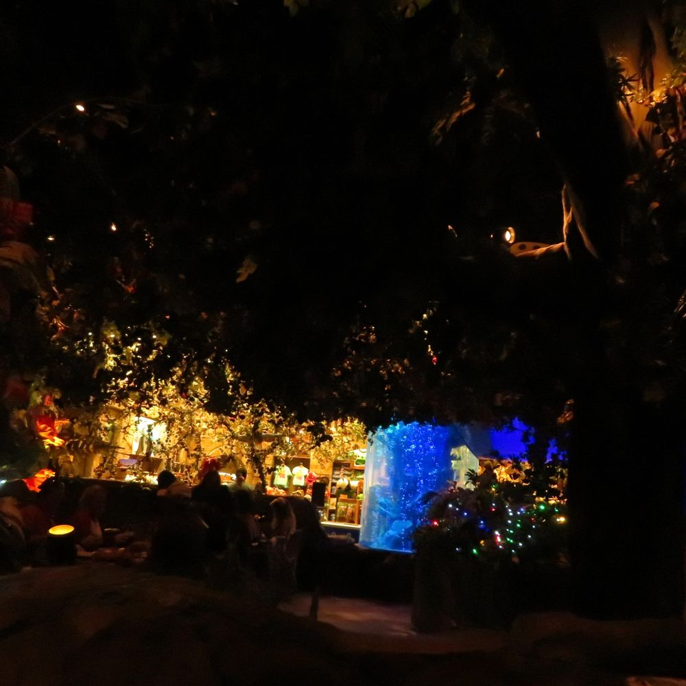 Rainforest Cafe - American Near Me - Katy, Texas