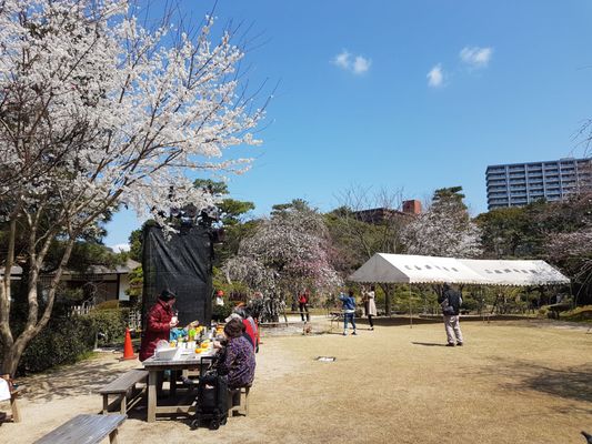 Shukkeien Garden by null