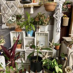 Coastal Finds Marketplace