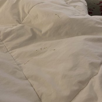 W Bellevue - Stain - Hotels Near Me - Bellevue, Washington W Bellevue - Stain - Hotels Near Me - Bellevue, Washington