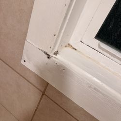 Barrier Island Station - Moldy bathroom