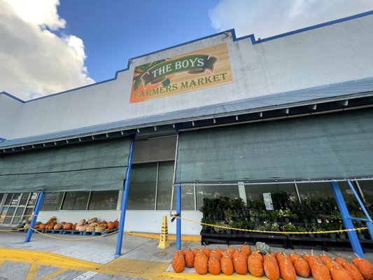 The Boys Farmers Market by null