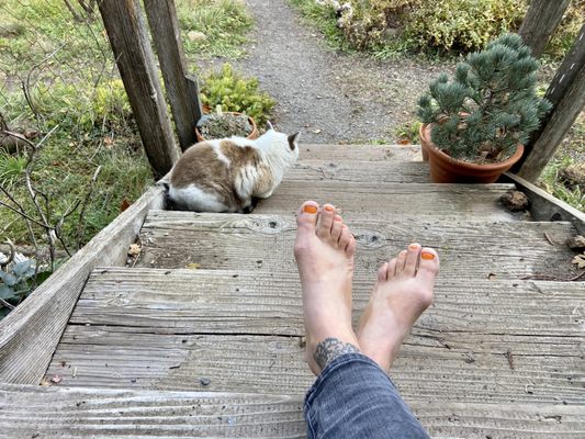 ARTWORK NAIL & SPA - Updated January 2025 - 144 Photos & 154 Reviews