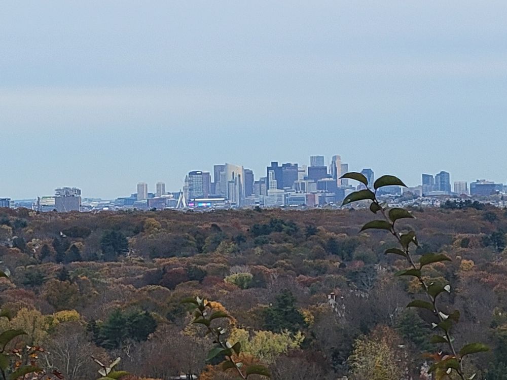 HORN POND Updated August 2024 98 Photos & 53 Reviews Lake Street