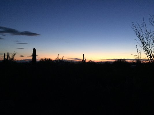Gilbert Ray Campground by null