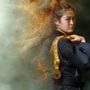 Photo of J. Tiger Martial Arts