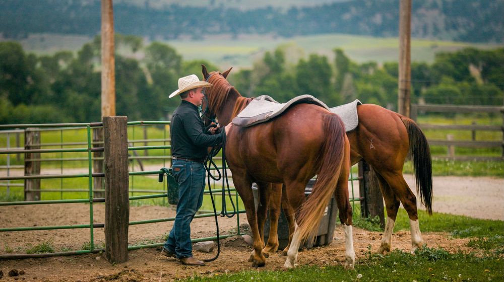 Greycliff Creek Ranch - equestrian in Greycliff, MT