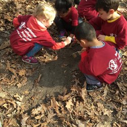 Redeemer Lutheran Preschool - Looking for dinosaur bones at Hidden Oaks Nature Center