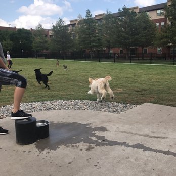 Spruill Park - Pups at play - Parks Near Me - Addison, Texas Spruill Park - Pups at play - Parks Near Me - Addison, Texas