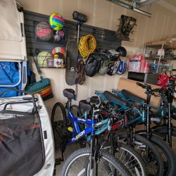 Organized Life - After