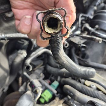 Audi Novi - Some mystery petroleum jelly looking gunk all through my engine hoses. - Car Dealers Near Me - Novi, Michigan Audi Novi - Some mystery petroleum jelly looking gunk all through my engine hoses. - Car Dealers Near Me - Novi, Michigan