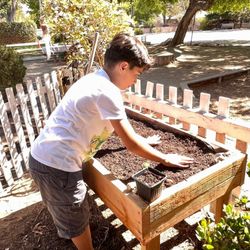 Valley Waldorf City School - Preparing our beds for planting & growing.