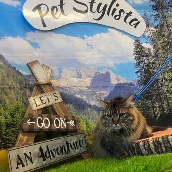 Pet Stylista - Pet Groomers Near Me - Sacramento, California Pet Stylista - Pet Groomers Near Me - Sacramento, California