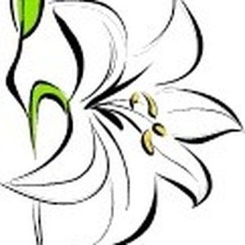 Piccadilly's Flower Shoppe - Piccadilly's 304 765 5974 - Florists Near Me - Gassaway, West Virginia Piccadilly's Flower Shoppe - Piccadilly's 304 765 5974 - Florists Near Me - Gassaway, West Virginia